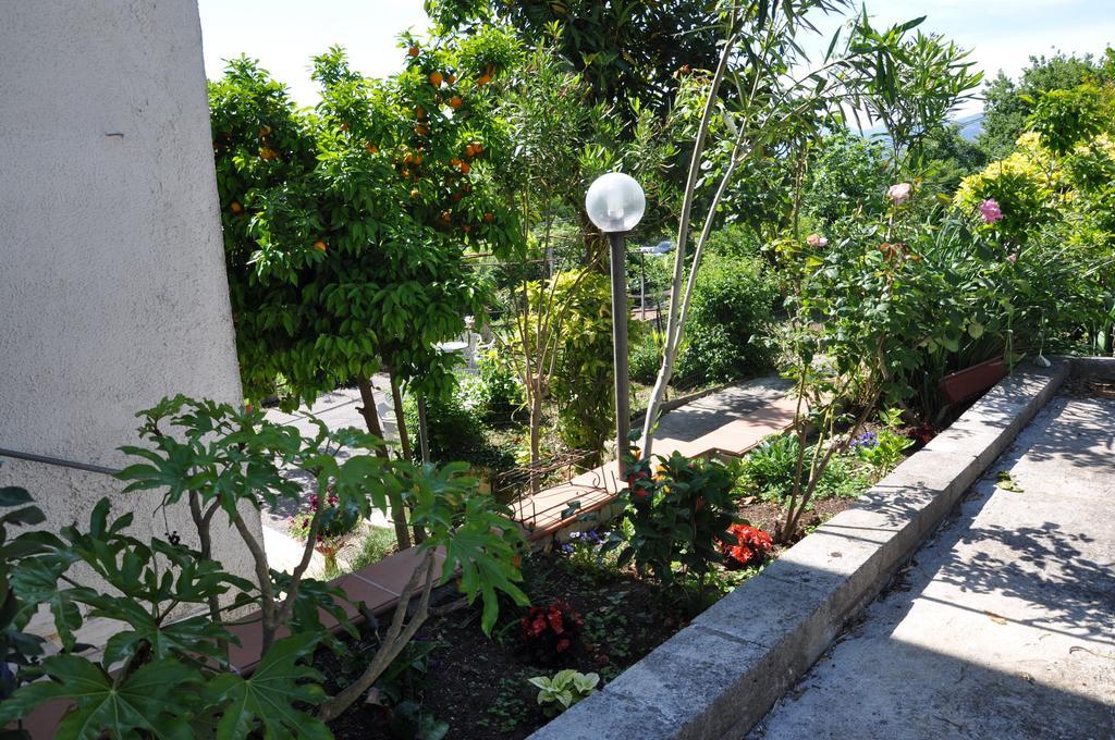 B&B La Palombara Giuliano di Roma 外观 照片
